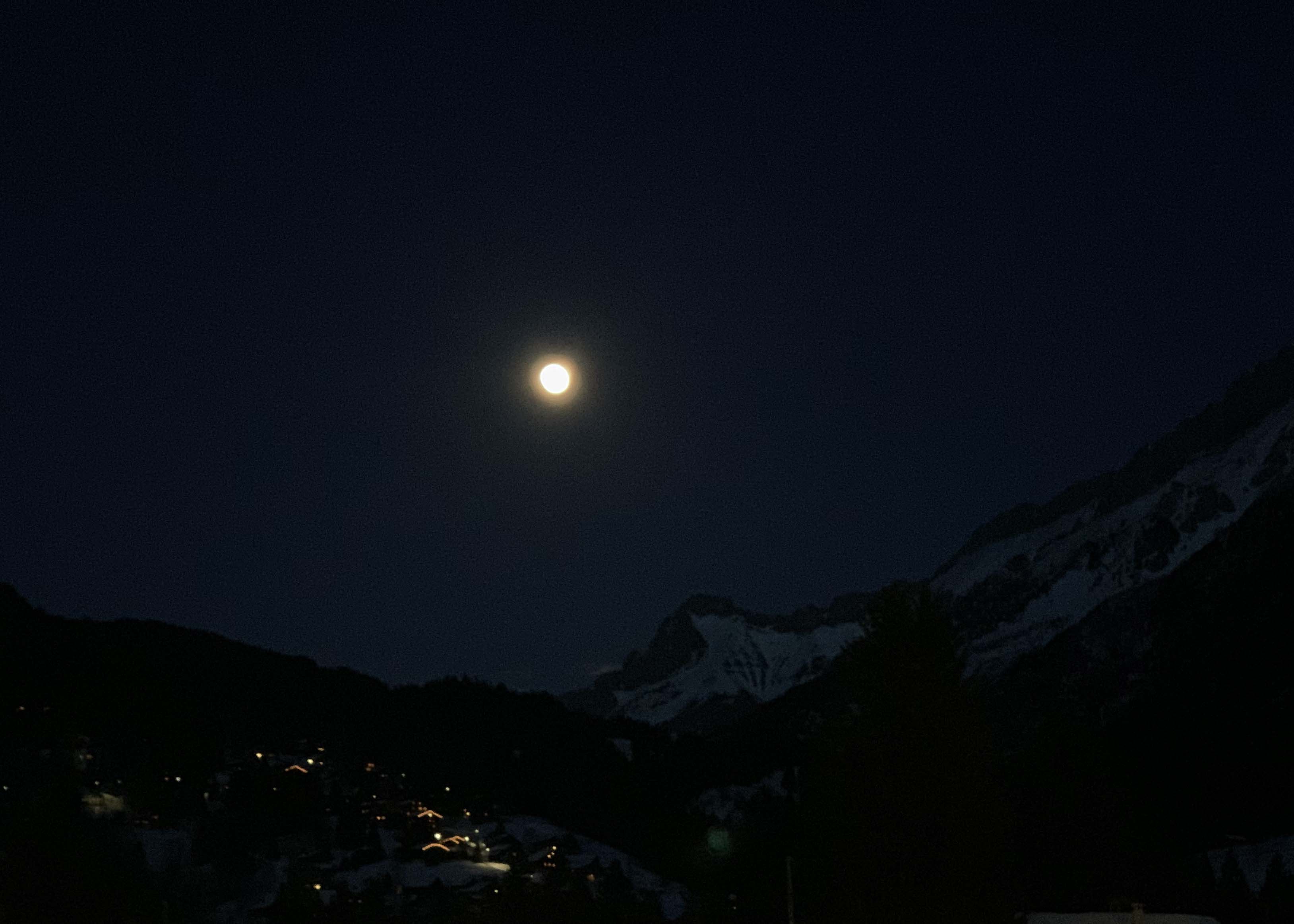 IMG_8028